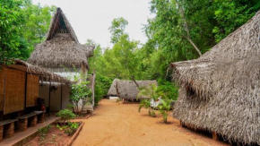 Nebula Nest Cafe & Hostel